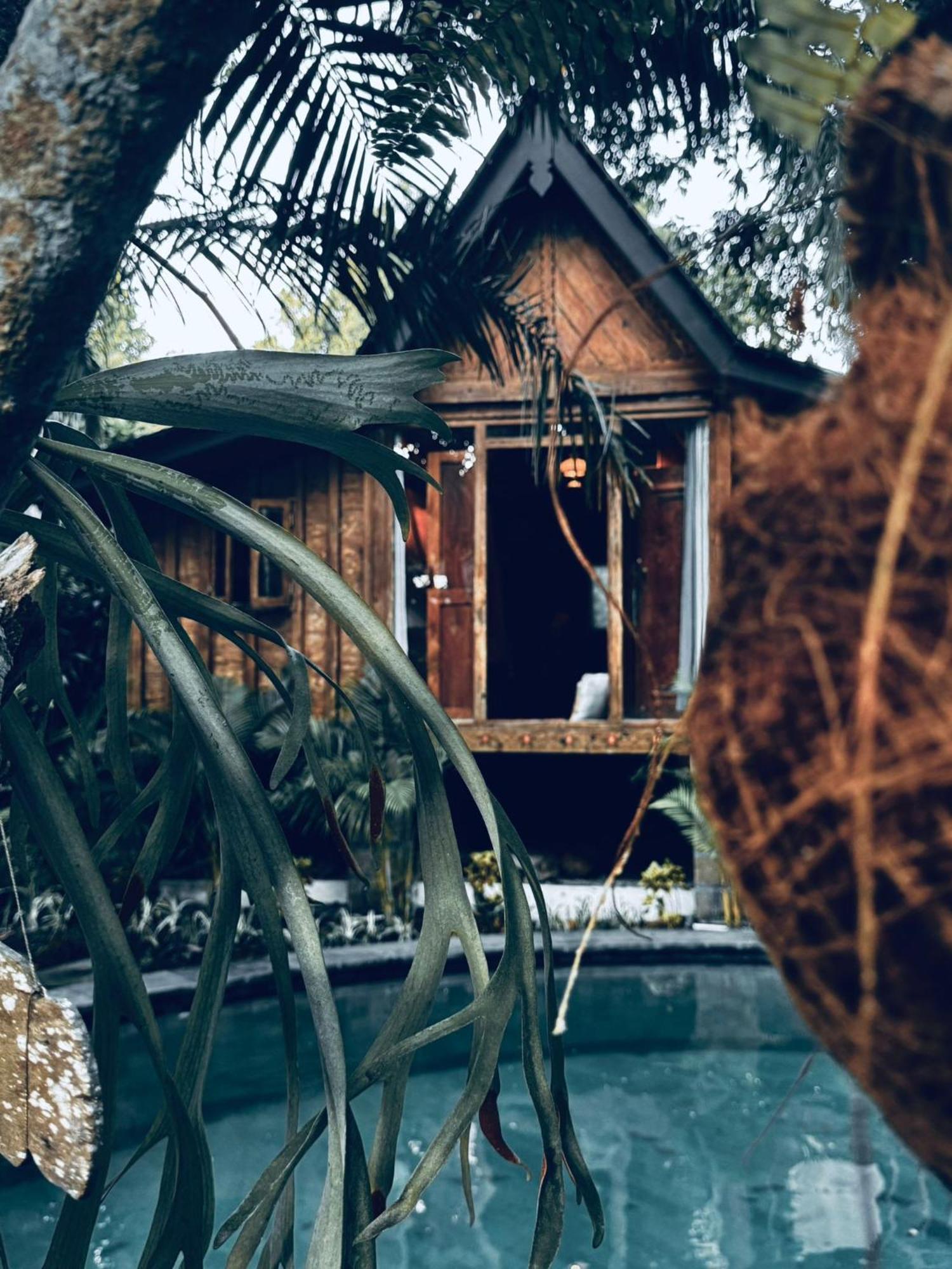 Resort Jungleroom Canggu Buitenkant foto